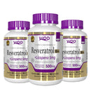 Kit 3 uni. Resveratrol 165mg + Licopeno 5mg ( 60 Cápsulas de 500mg)